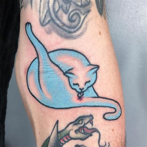 cat butthole tattoo|cat with belly button tattoo.